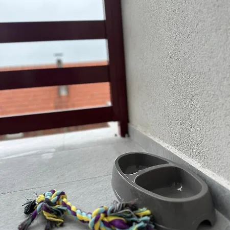 Apartment Aleks Golubac