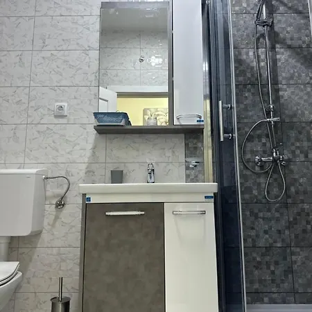 Aleks Apartment Golubac