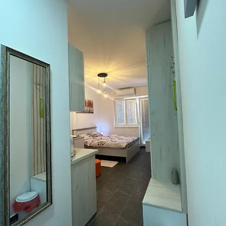 Apartment Aleks Golubac